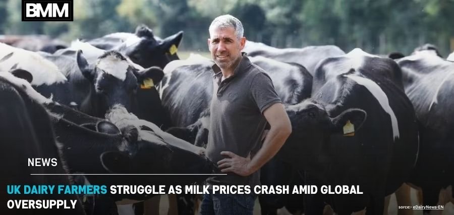 UK Dairy Farmers Struggle as Milk Prices Crash Global Oversupply | Business Minds Media