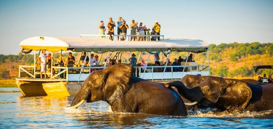 African Tourism Investment Opportunities